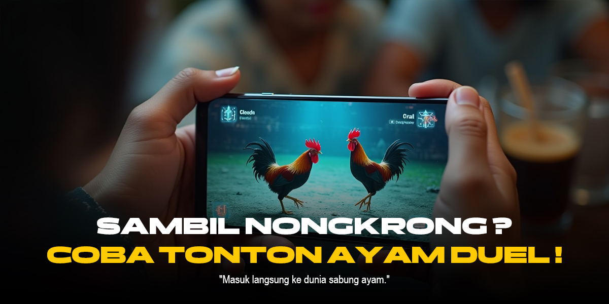 Mengenal Jenis Ayam Aduan Favorit di SV388 Sabung Ayam
